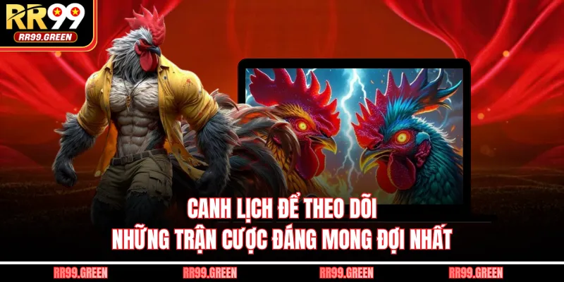 Canh lịch để theo dõi những trận cược đáng mong đợi nhất 