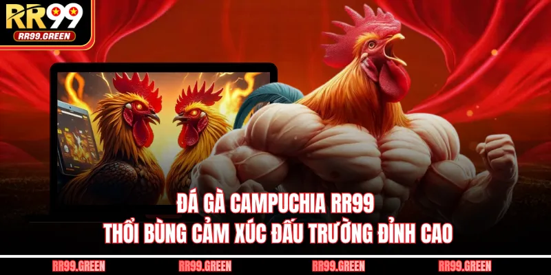 Đá Gà Campuchia RR99 - Thổi Bùng Cảm Xúc Đấu Trường Đỉnh Cao