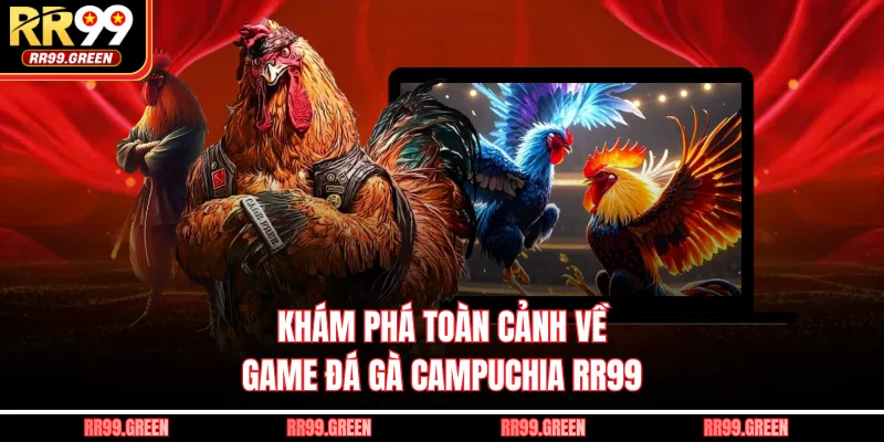 Khám phá toàn cảnh về game đá gà Campuchia RR99